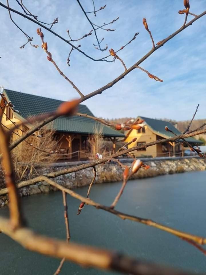 Domki Gorska Zatoka Stronie Slaskie Exterior photo